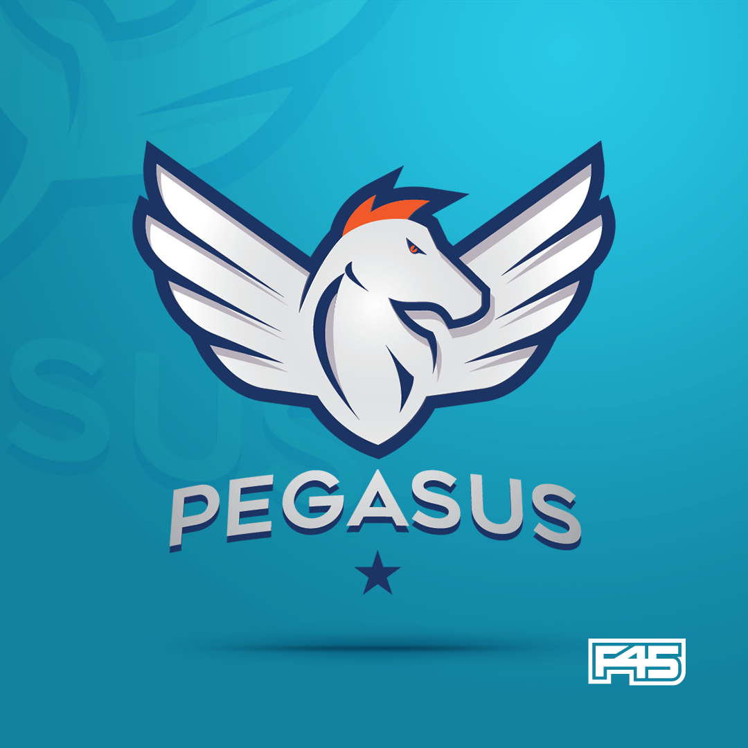 Pegasus F45 Challenge