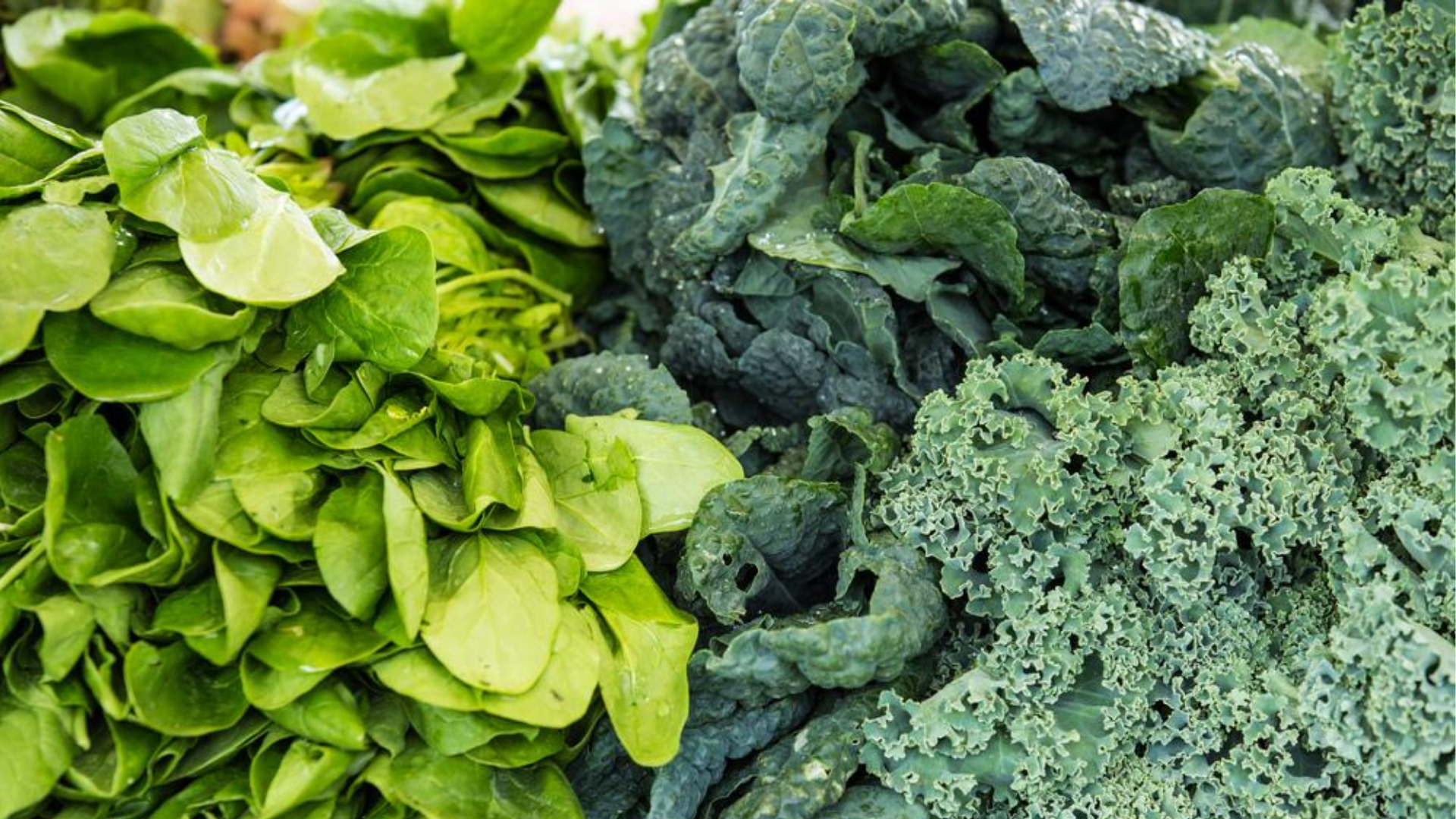 Зелень на м. Kale трава. Spinach and Kale. Шпинат разновидности фото. Зелень на фермерском рынке.